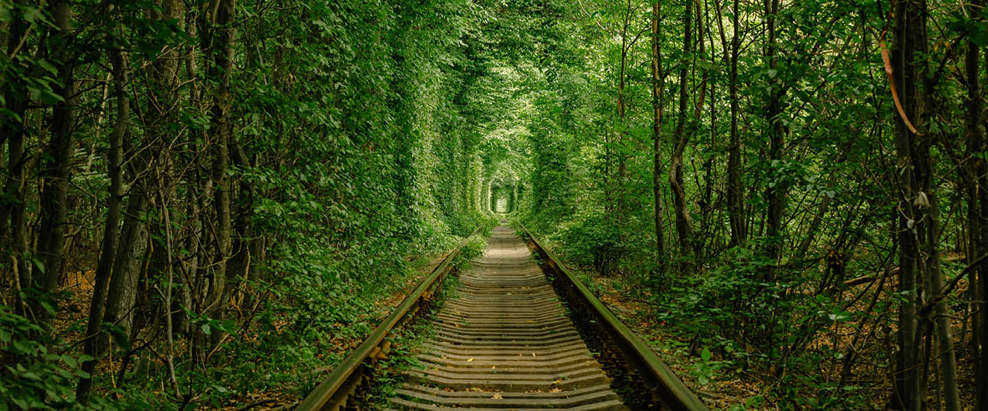 Matkalla kestäväksi toimijaksi