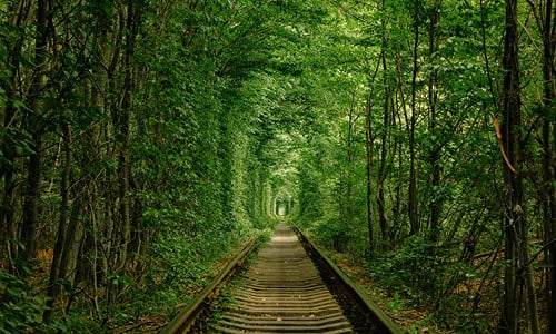 Kuvaus matkasta kestävästi operoivaksi yhteisöksi