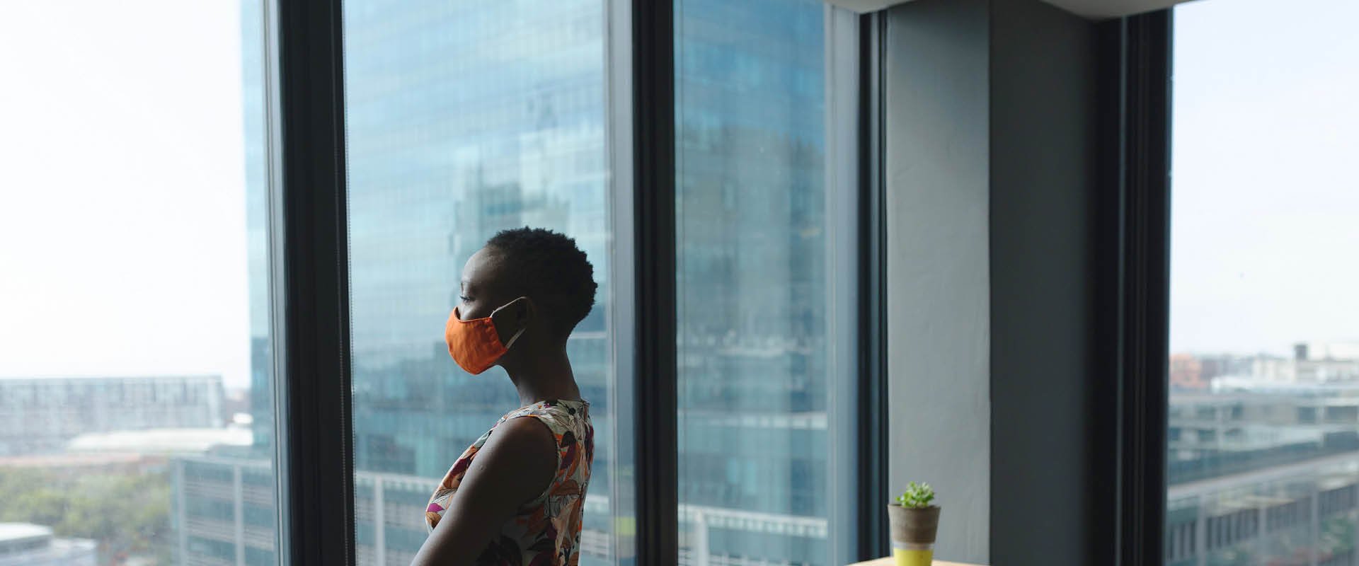 insight featured image