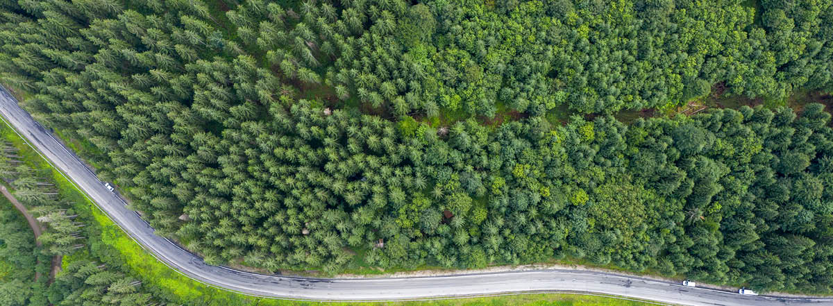 Matkalla kestäväksi toimijaksi