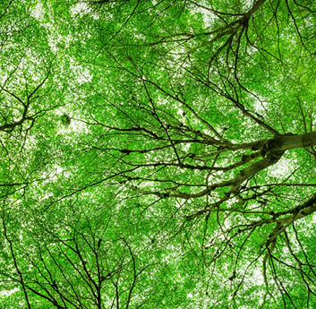 Päivitys vastuullisuusraportointiin Euroopassa