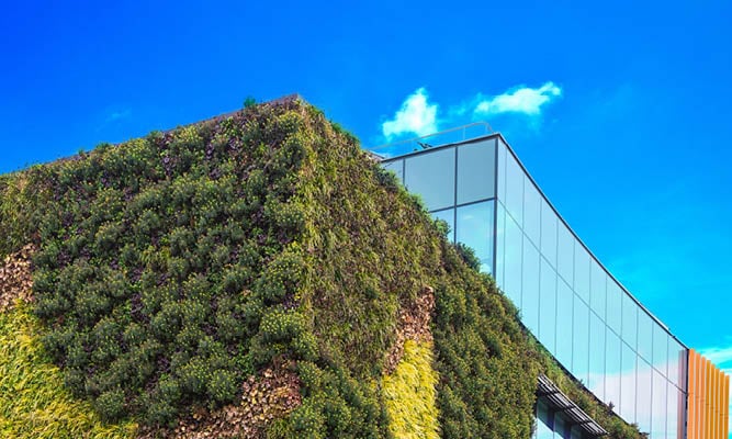 Omnibus-sopu selvä – uudet rajaukset keventävät yritysten kestävyysraportointivelvoitteita