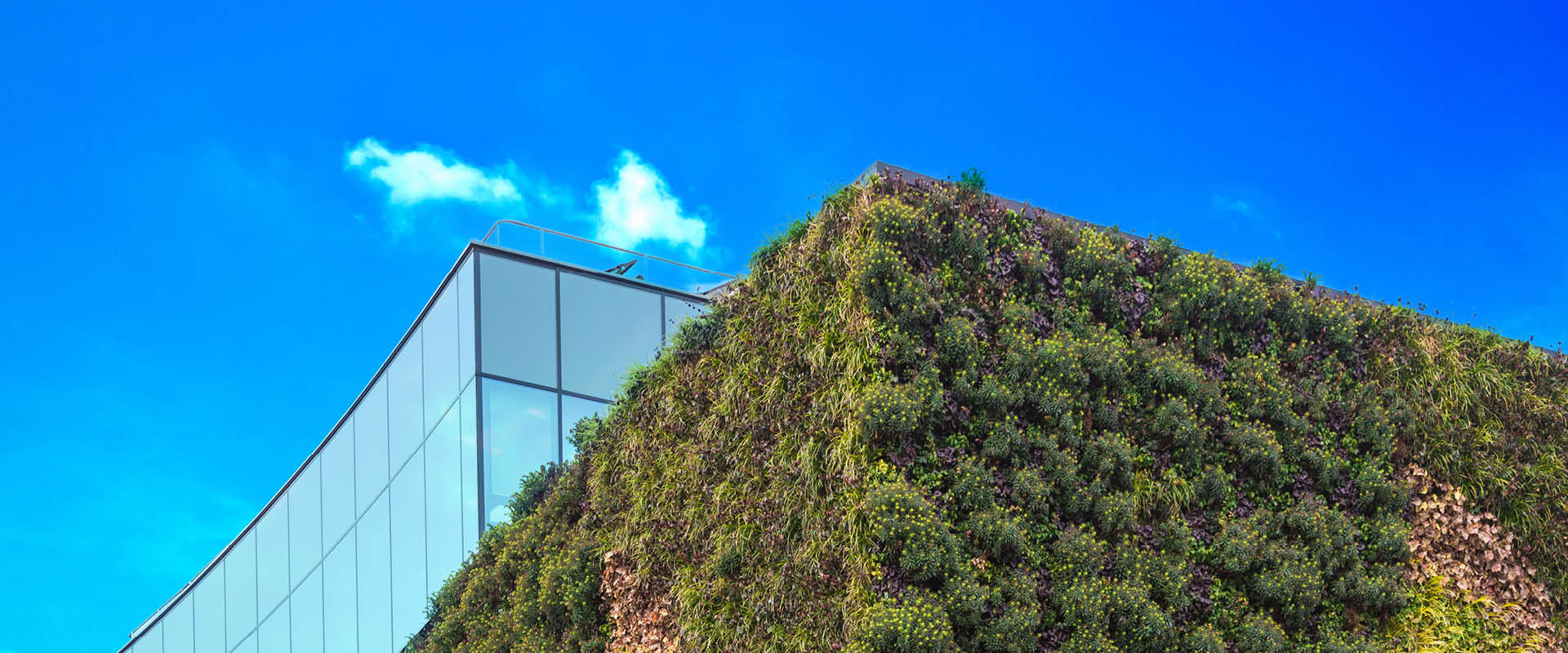 insight featured image