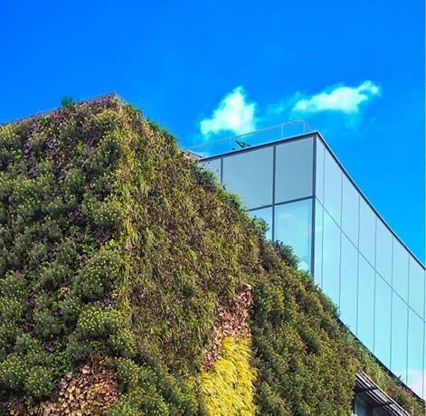 Omnibus-sopu selvä – uudet rajaukset keventävät yritysten kestävyysraportointivelvoitteita